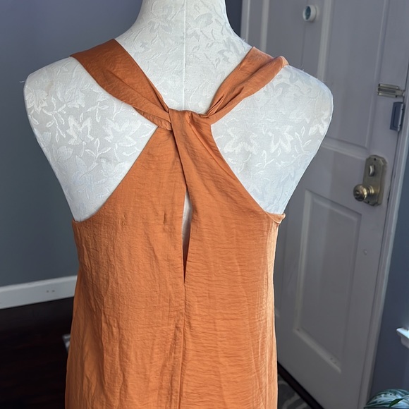 THML Rustic Orange Dress - Picture 4 of 8